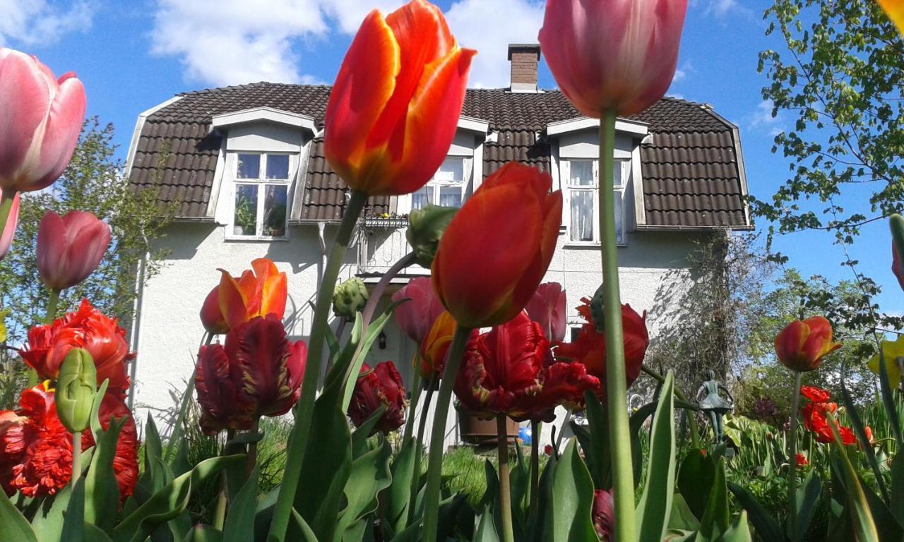 Bodafors Wonderful Home מראה חיצוני תמונה